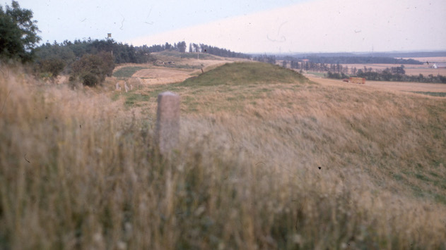Fortidsminde Tulsbjerge
