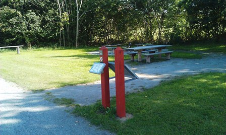 026 Gule Sti Skals 1